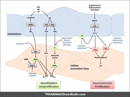 médicament hypertension pulmonaire générique