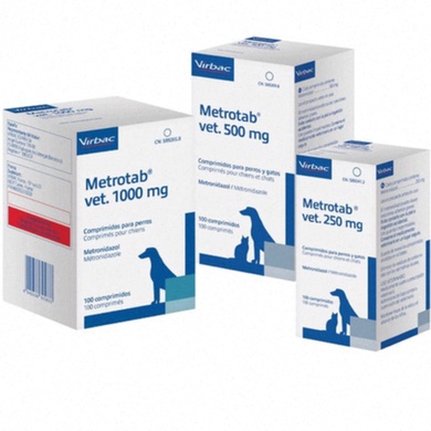 Antibiotique DentalPro 500 mg