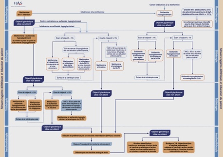 traitement diabète type 2